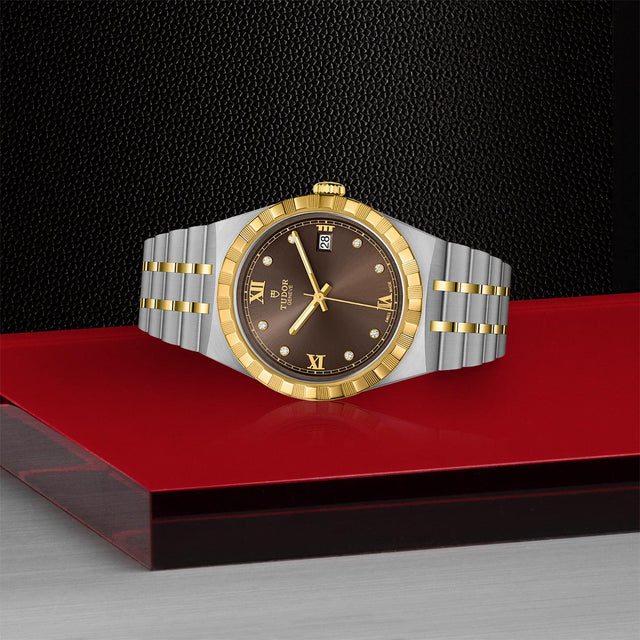 tudor m28503 0008 in store laying down