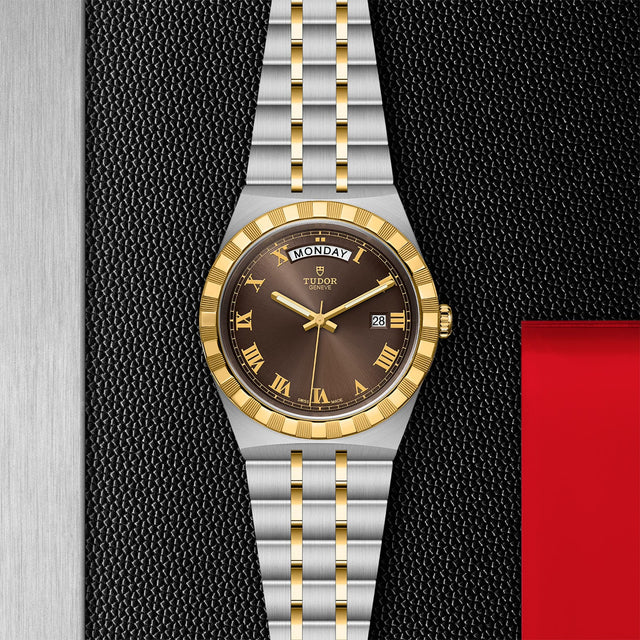 tudor m28603 0007 in store flat lay