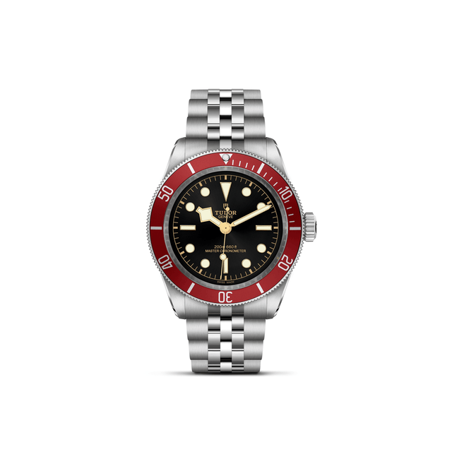 TUDOR Black Bay
